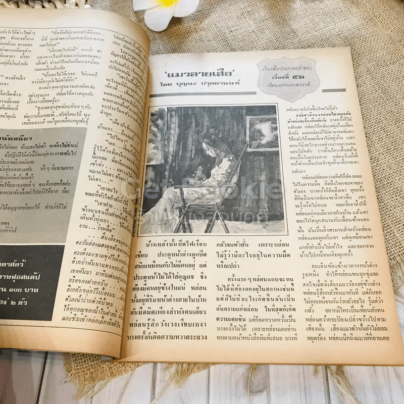ฟ้าเมืองทอง ฉบับที่ 71 ก.พ.2525 รูปที่ 16