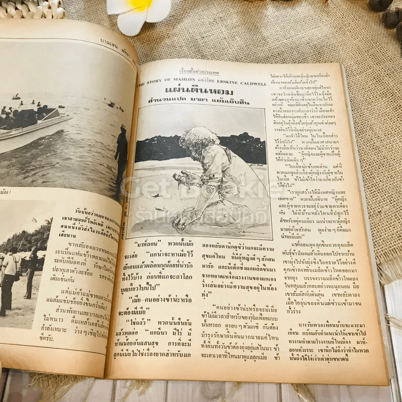 ฟ้าเมืองทอง ฉบับที่ 71 ก.พ.2525 รูปที่ 20