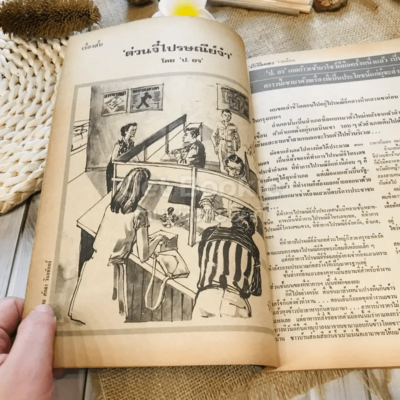 ฟ้าเมืองทอง ฉบับที่ 56 พ.ย.2523 รูปที่ 16