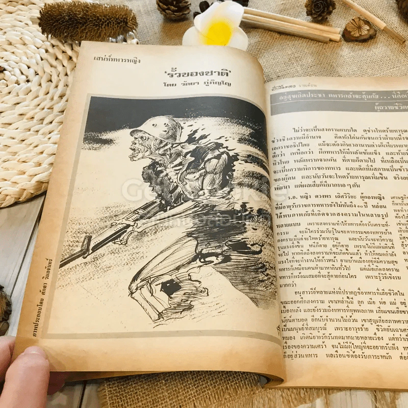 ฟ้าเมืองทอง ฉบับที่ 56 พ.ย.2523 รูปที่ 19