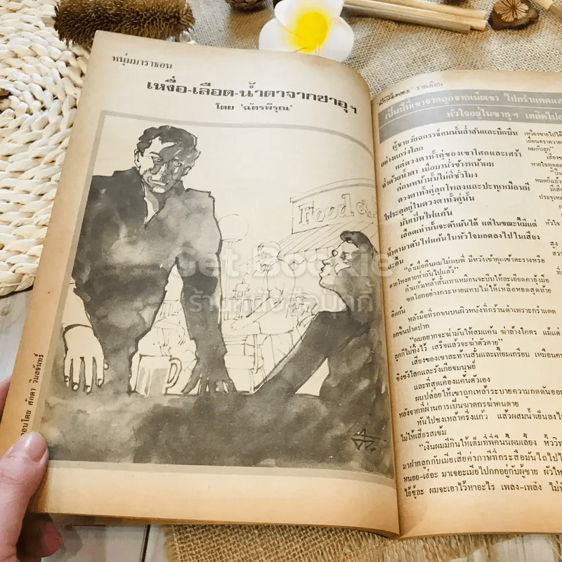 ฟ้าเมืองทอง ฉบับที่ 56 พ.ย.2523 รูปที่ 22