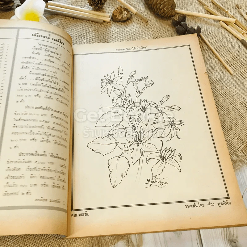 ฟ้าเมืองทอง ฉบับที่ 56 พ.ย.2523 รูปที่ 7