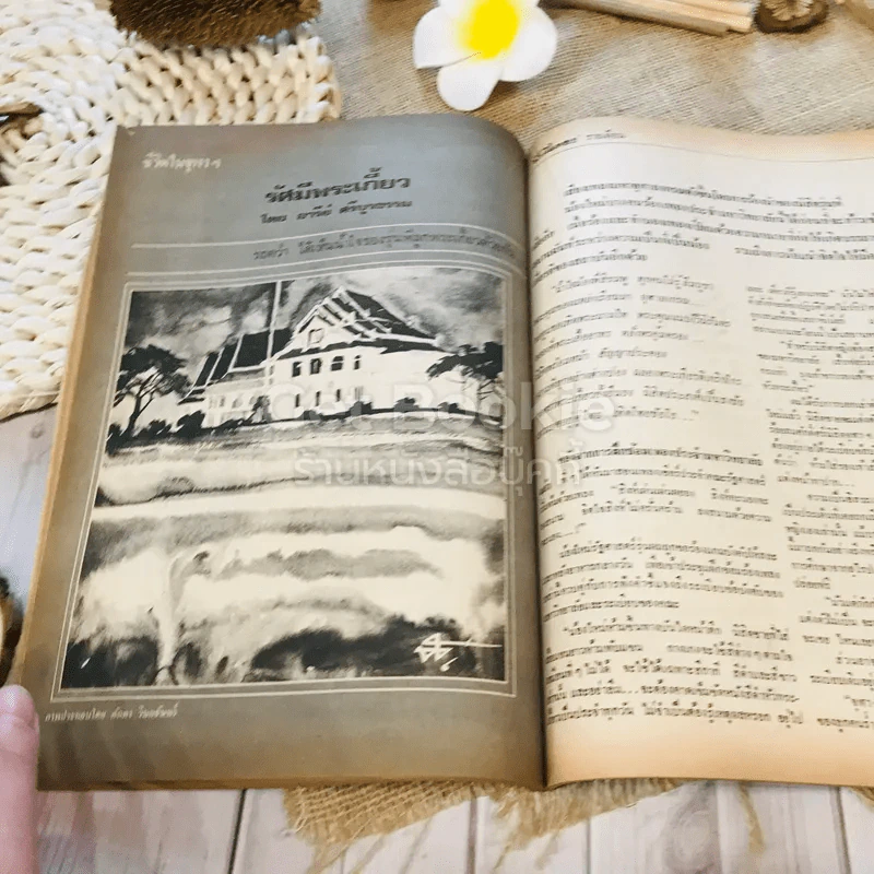 ฟ้าเมืองทอง ฉบับที่ 45 ธ.ค.2522 รูปที่ 31