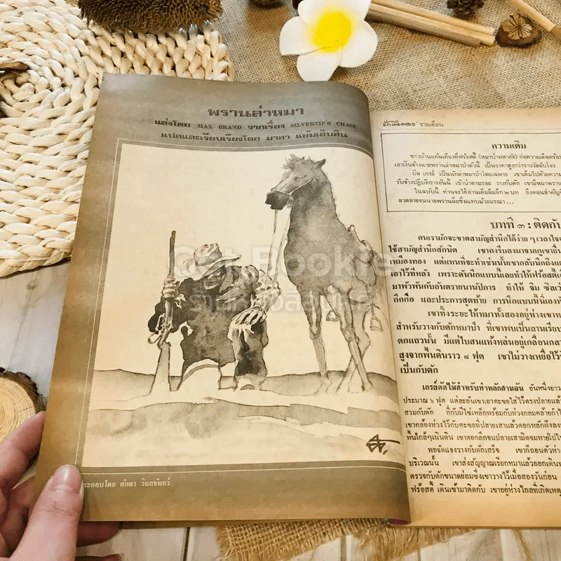 ฟ้าเมืองทอง ฉบับที่ 45 ธ.ค.2522 รูปที่ 13