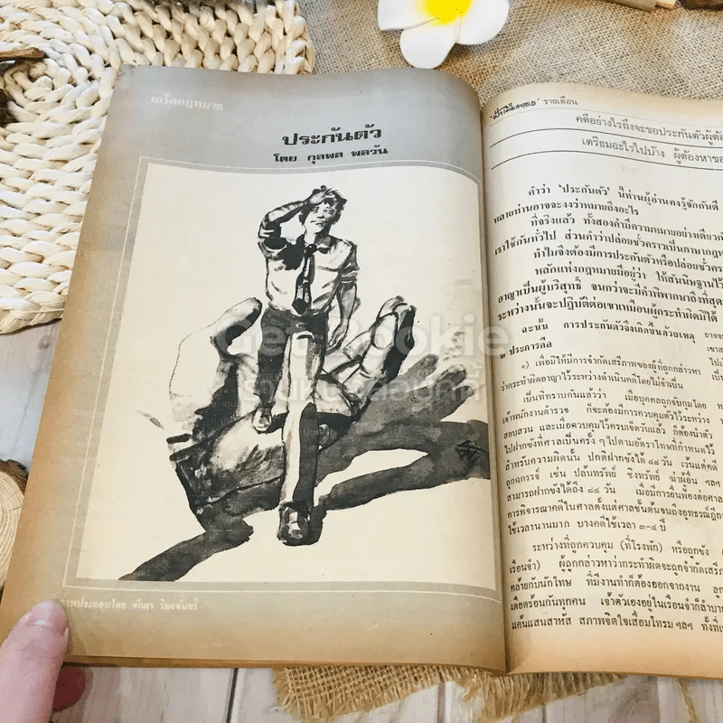 ฟ้าเมืองทอง ฉบับที่ 45 ธ.ค.2522 รูปที่ 28
