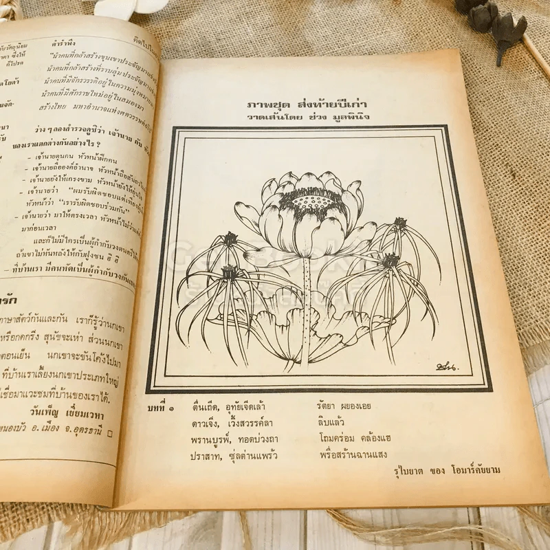 ฟ้าเมืองทอง ฉบับที่ 45 ธ.ค.2522 รูปที่ 8