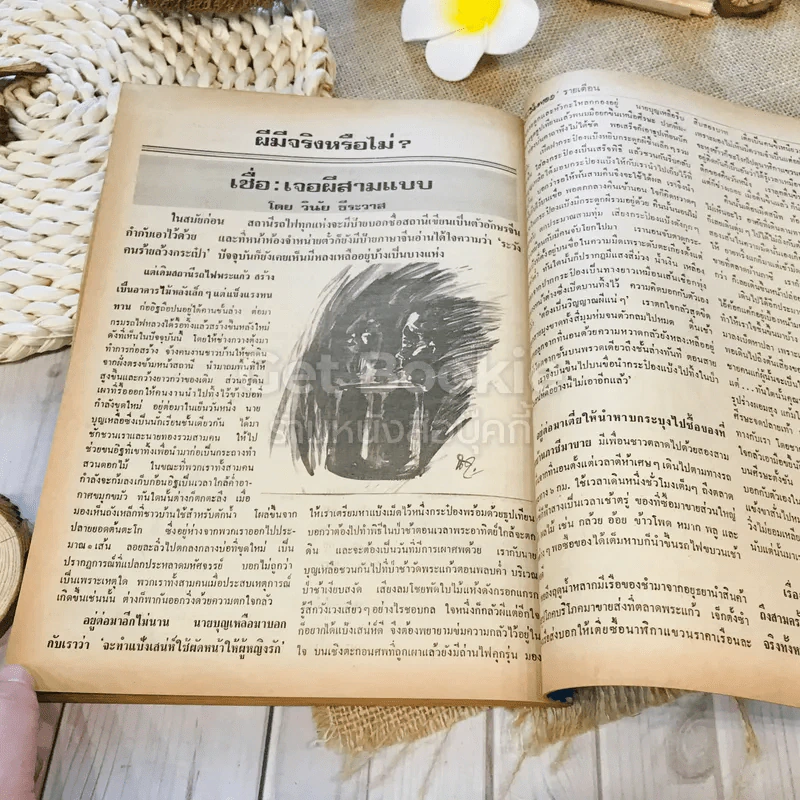 ฟ้าเมืองทอง ฉบับที่ 45 ธ.ค.2522 รูปที่ 37