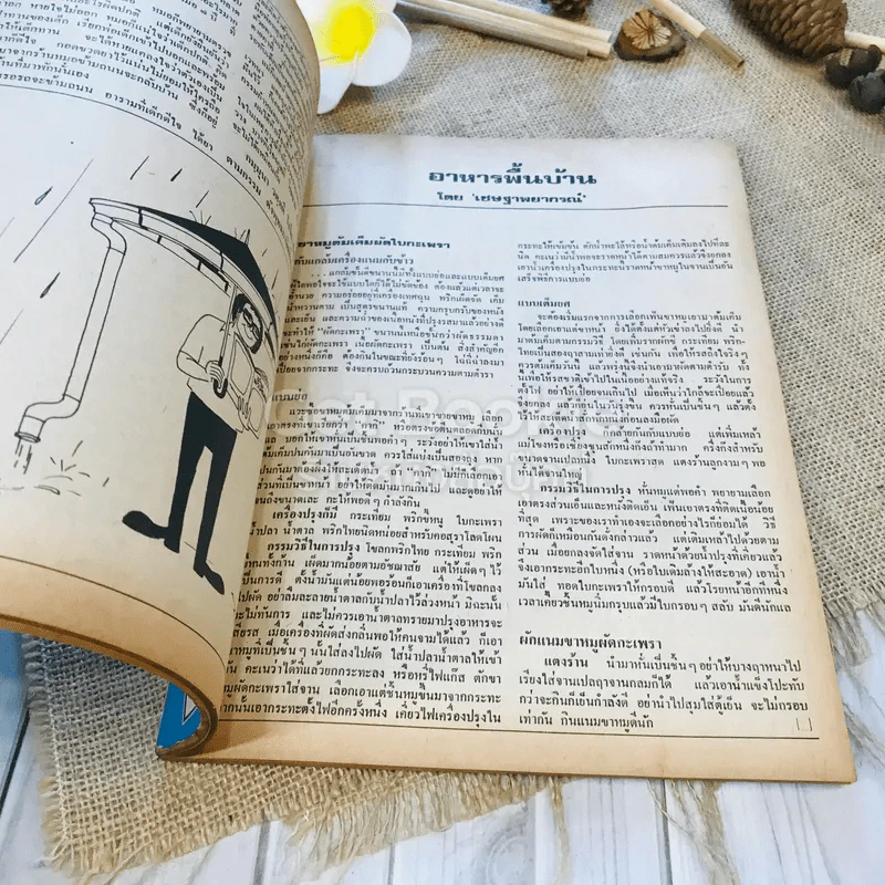 ฟ้าเมืองทอง ฉบับที่ 9 ธ.ค.2519 รูปที่ 29