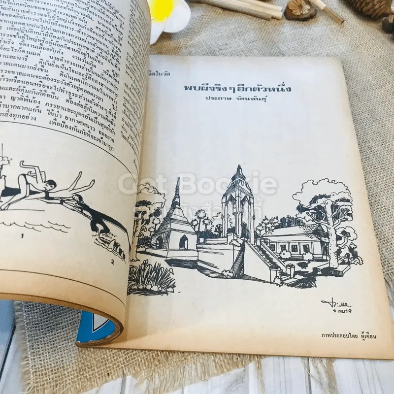 ฟ้าเมืองทอง ฉบับที่ 9 ธ.ค.2519 รูปที่ 28