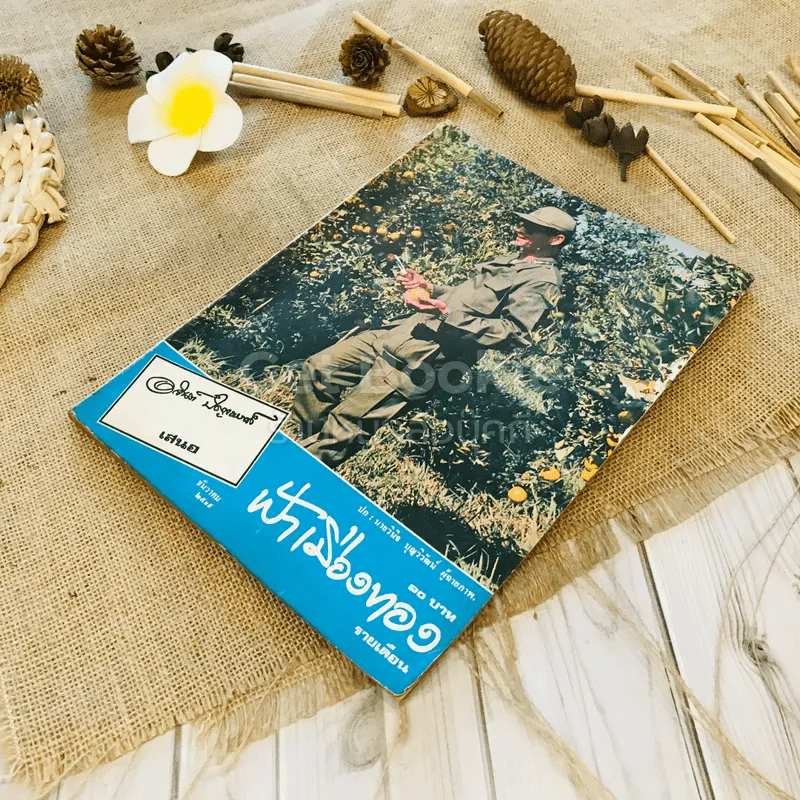 ฟ้าเมืองทอง ฉบับที่ 9 ธ.ค.2519 รูปที่ 4