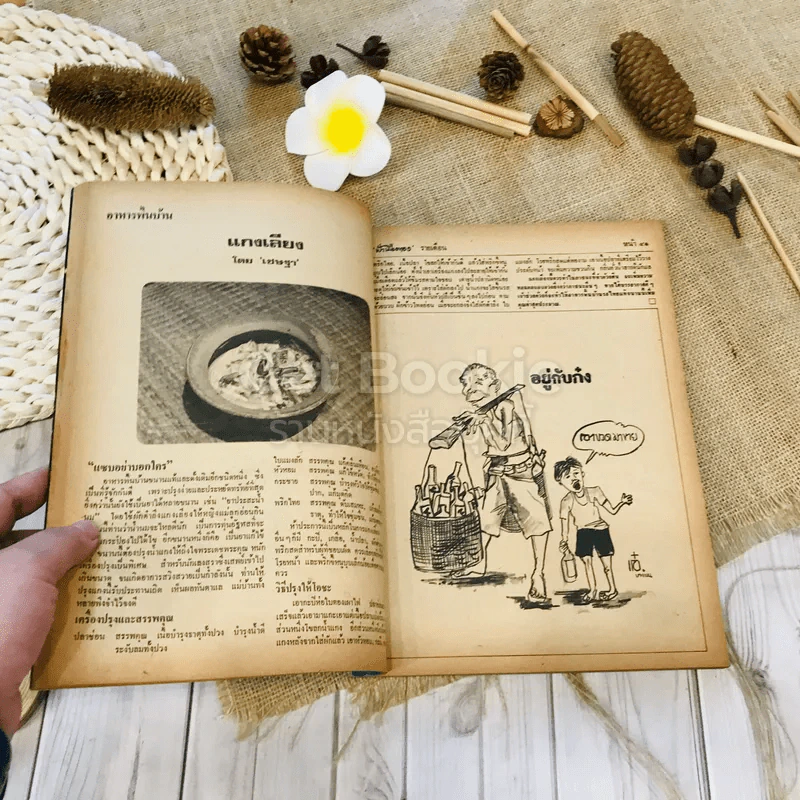 ฟ้าเมืองทอง ฉบับที่ 15 มิ.ย.2520 รูปที่ 17