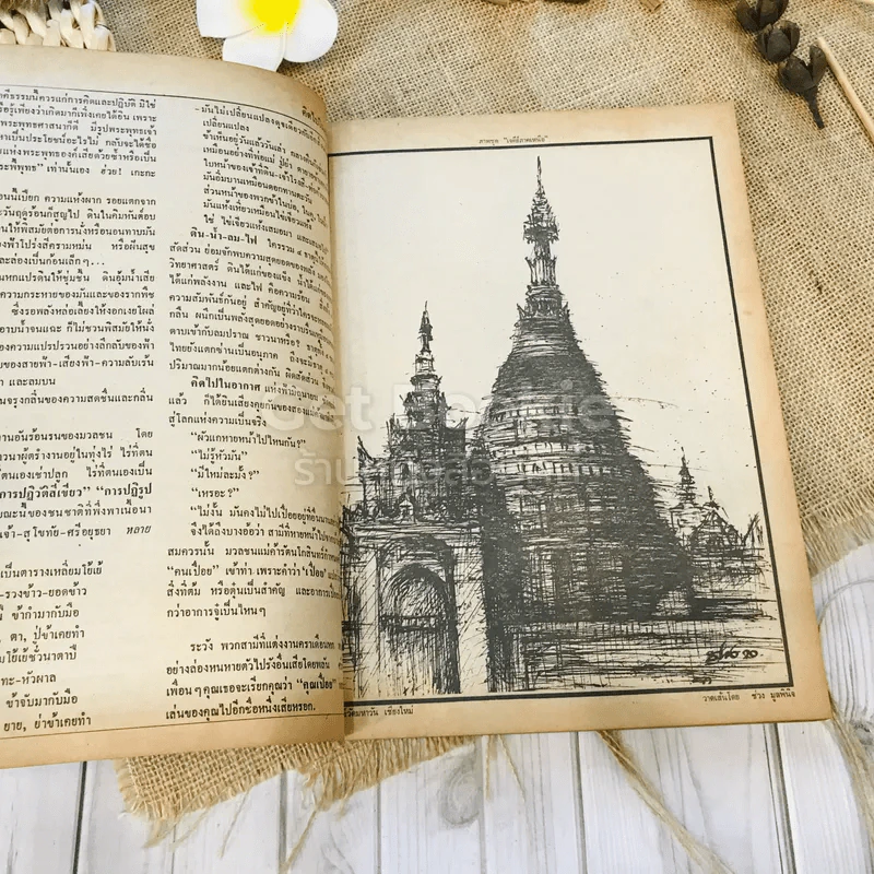 ฟ้าเมืองทอง ฉบับที่ 15 มิ.ย.2520 รูปที่ 8