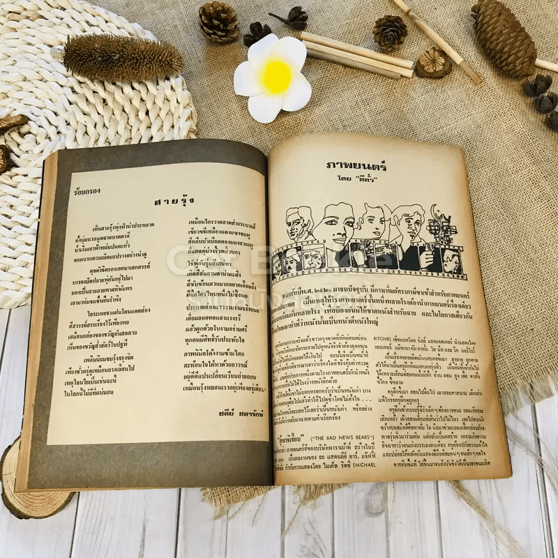 ฟ้าเมืองทอง ฉบับที่ 15 มิ.ย.2520 รูปที่ 33