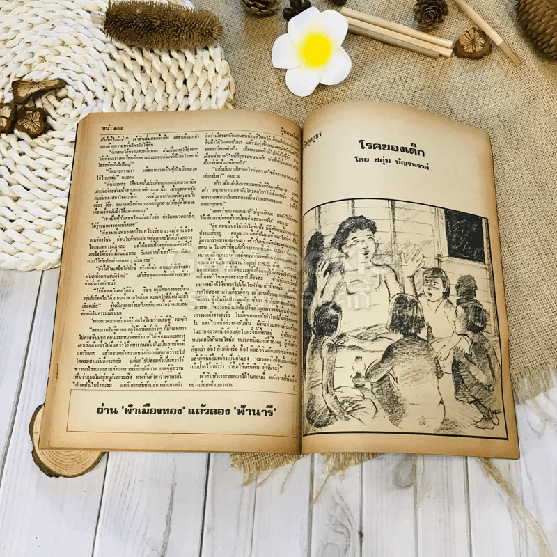 ฟ้าเมืองทอง ฉบับที่ 15 มิ.ย.2520 รูปที่ 36
