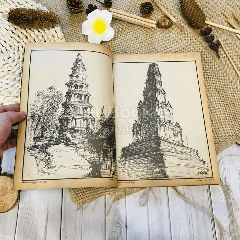 ฟ้าเมืองทอง ฉบับที่ 15 มิ.ย.2520 รูปที่ 9