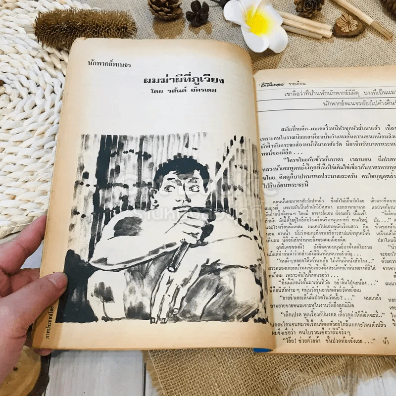 ฟ้าเมืองทอง ฉบับที่ 23 ก.พ.2521 รูปที่ 11