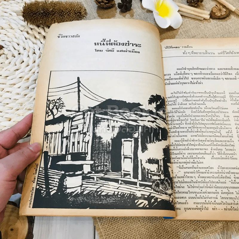 ฟ้าเมืองทอง ฉบับที่ 23 ก.พ.2521 รูปที่ 12