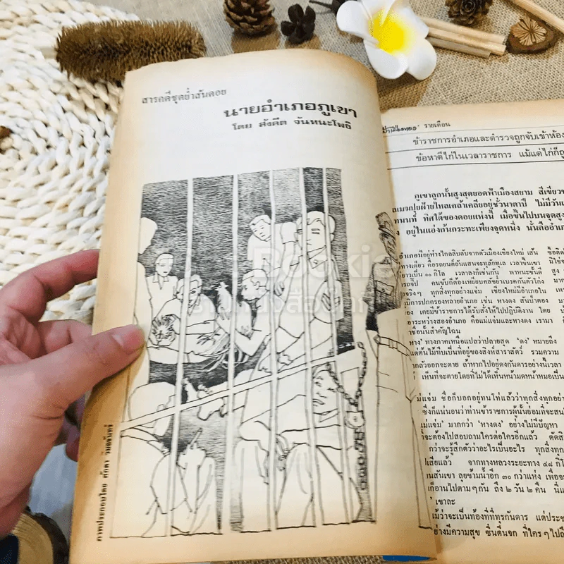 ฟ้าเมืองทอง ฉบับที่ 23 ก.พ.2521 รูปที่ 15