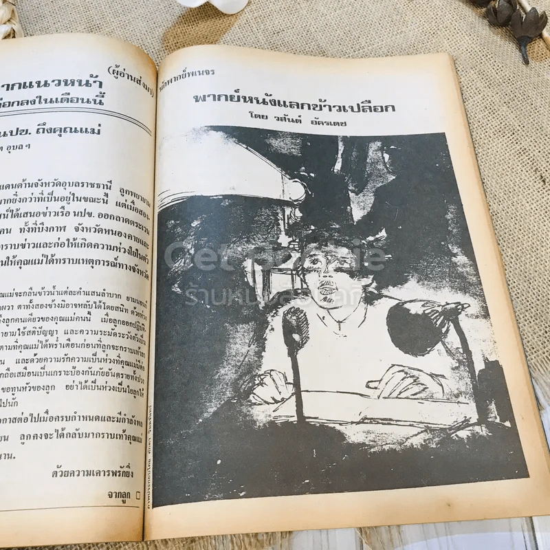 ฟ้าเมืองทอง ฉบับที่ 36 มี.ค.2522 รูปที่ 28