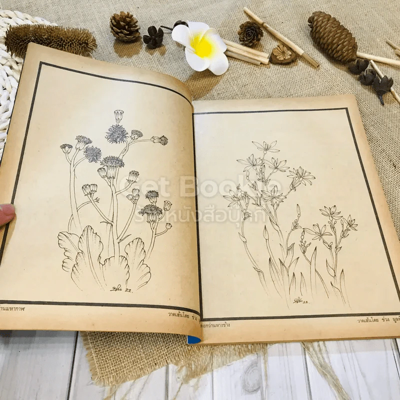 ฟ้าเมืองทอง ฉบับที่ 36 มี.ค.2522 รูปที่ 9