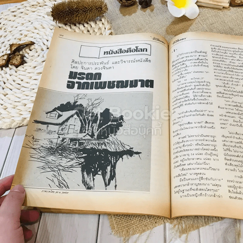 ฟ้าเมืองทอง พ.ย.2525 รูปที่ 22