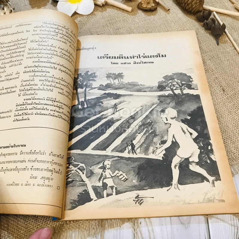 ฟ้าเมืองทอง ฉบับที่ 33 ธ.ค.2521 รูปที่ 18