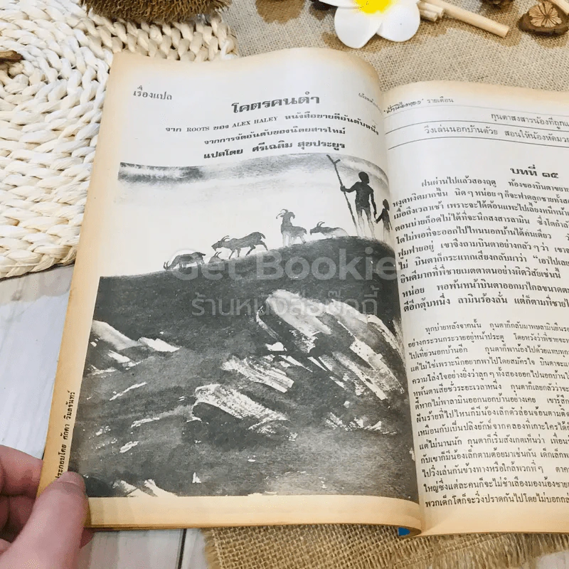 ฟ้าเมืองทอง ฉบับที่ 33 ธ.ค.2521 รูปที่ 20