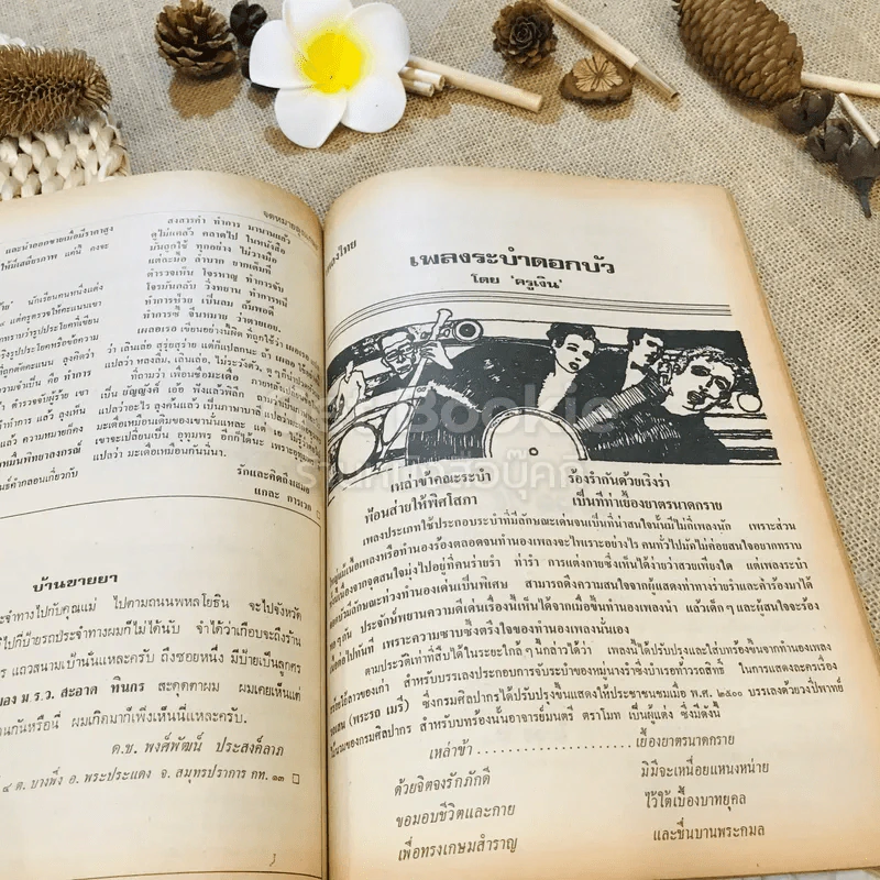 ฟ้าเมืองทอง ฉบับที่ 33 ธ.ค.2521 รูปที่ 24