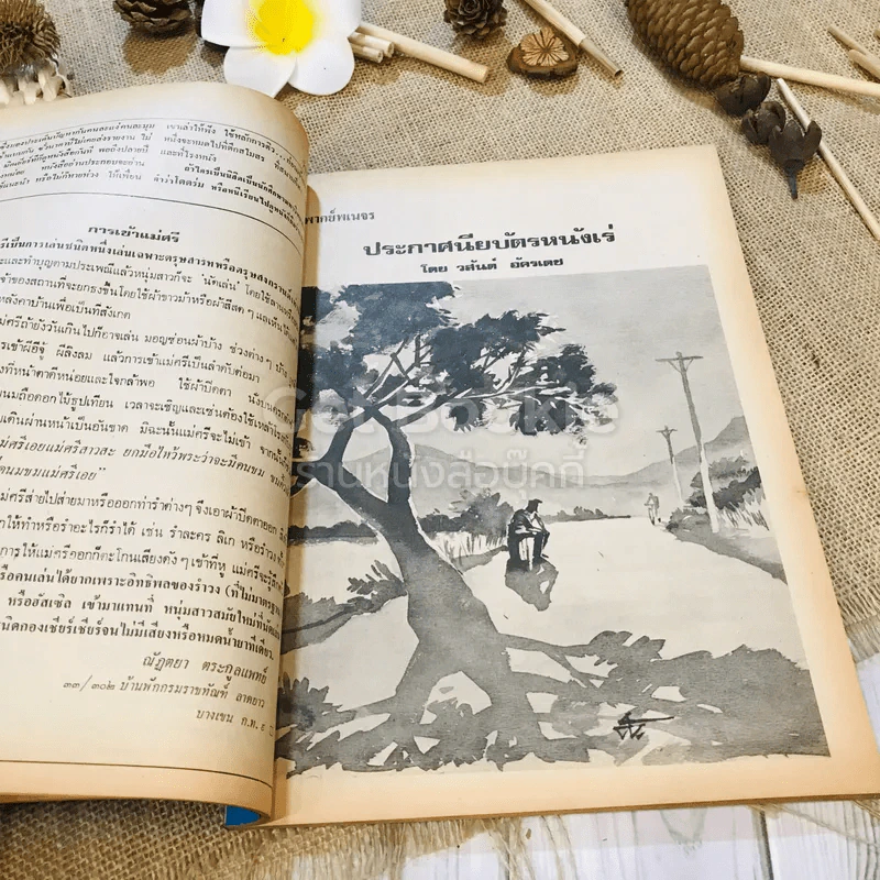 ฟ้าเมืองทอง ฉบับที่ 33 ธ.ค.2521 รูปที่ 16