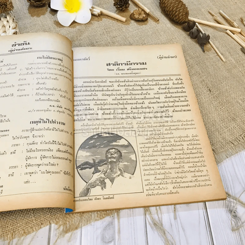 ฟ้าเมืองทอง ฉบับที่ 38 พ.ค.2522 รูปที่ 10