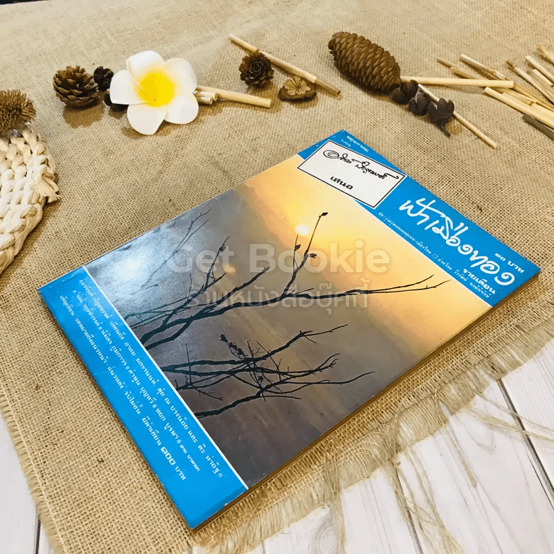 ฟ้าเมืองทอง ฉบับที่ 38 พ.ค.2522 รูปที่ 4