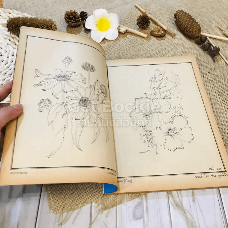 ฟ้าเมืองทอง ฉบับที่ 38 พ.ค.2522 รูปที่ 9