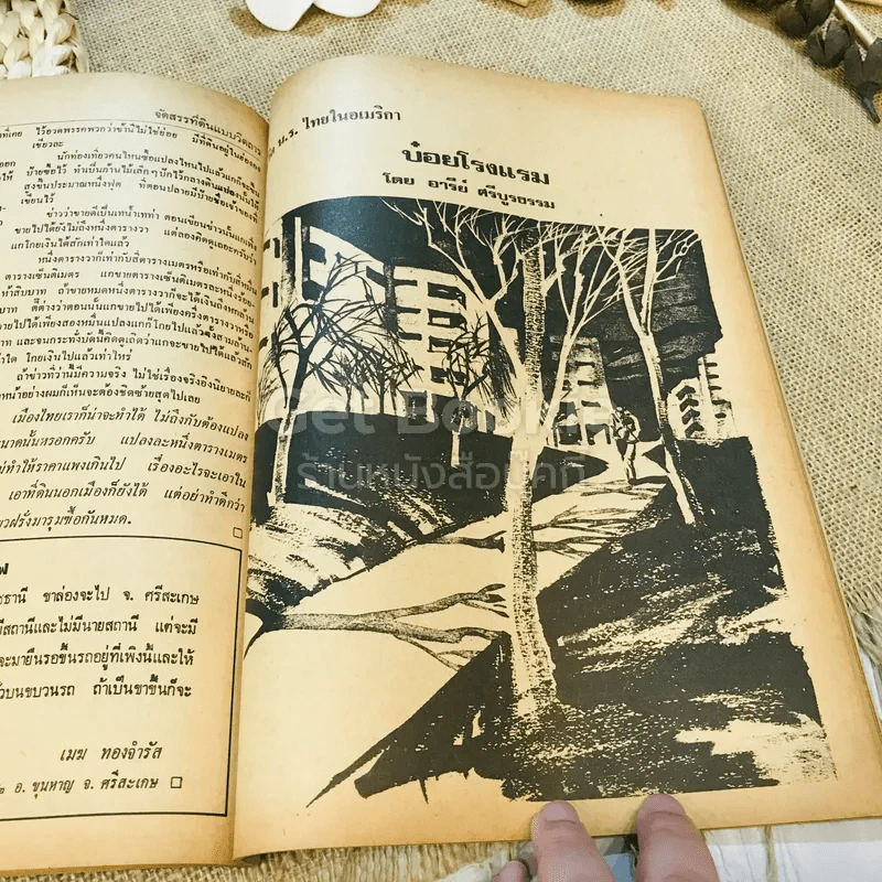 ฟ้าเมืองทอง ฉบับที่ 38 พ.ค.2522 รูปที่ 29