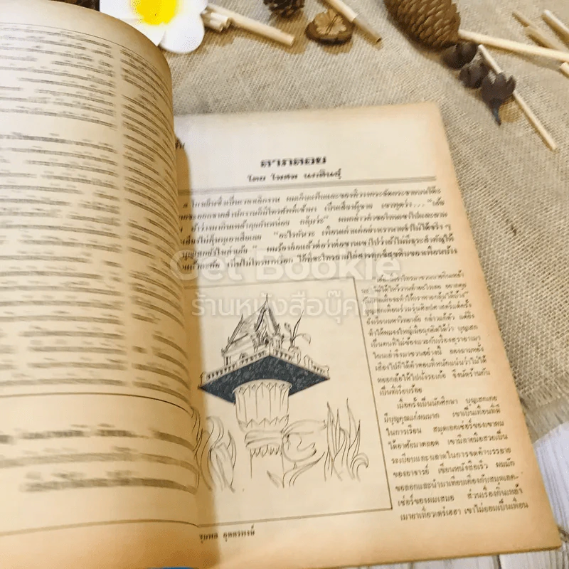 ฟ้าเมืองทอง ฉบับที่ 38 พ.ค.2522 รูปที่ 11