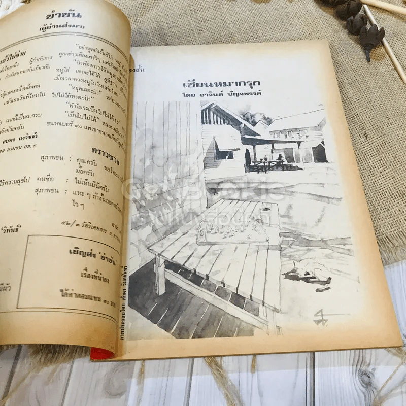 ฟ้าเมืองทอง ฉบับที่ 41 ส.ค.2522 รูปที่ 10