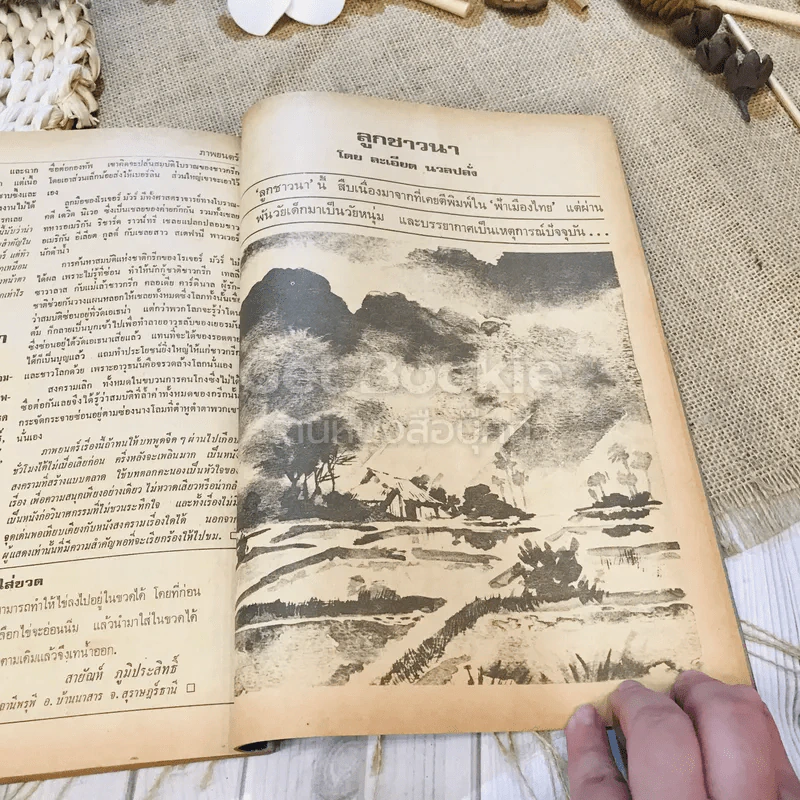 ฟ้าเมืองทอง ฉบับที่ 41 ส.ค.2522 รูปที่ 36