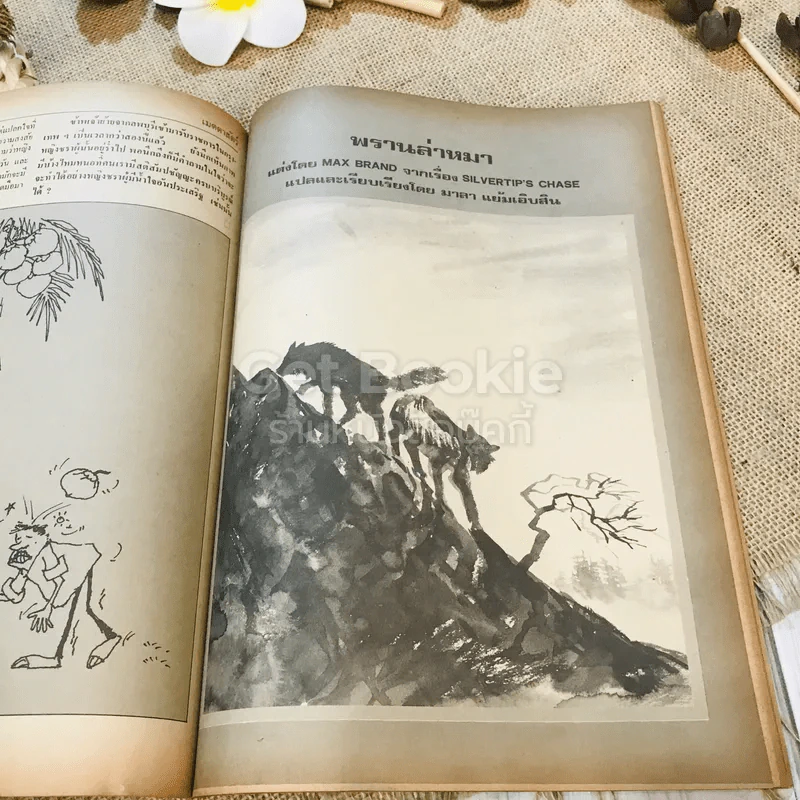 ฟ้าเมืองทอง ฉบับที่ 50 พ.ค.2523 รูปที่ 23
