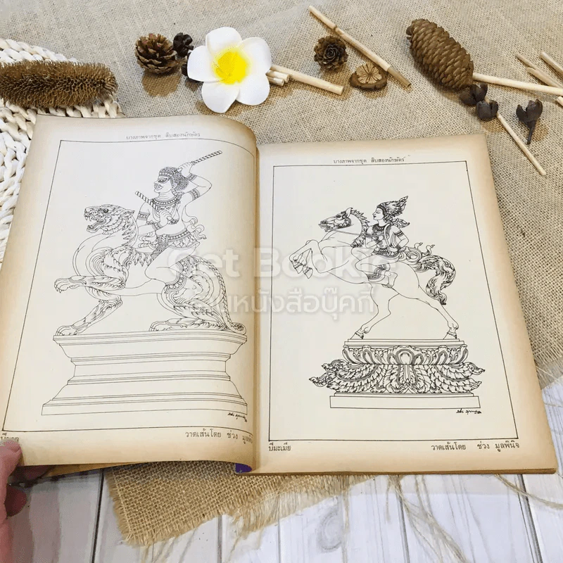 ฟ้าเมืองทอง ฉบับที่ 50 พ.ค.2523 รูปที่ 7