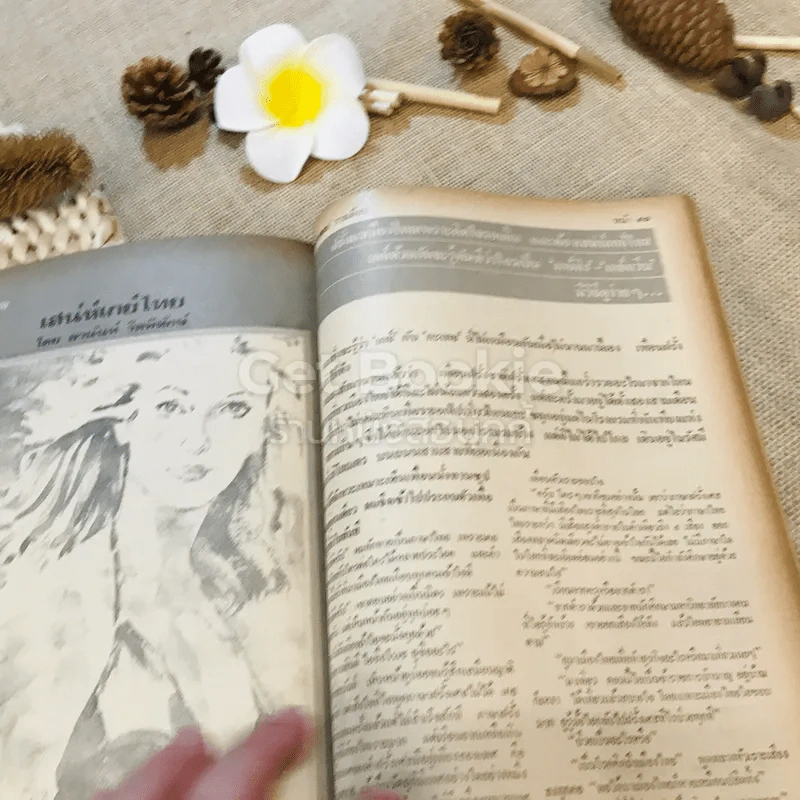 ฟ้าเมืองทอง ฉบับที่ 50 พ.ค.2523 รูปที่ 25