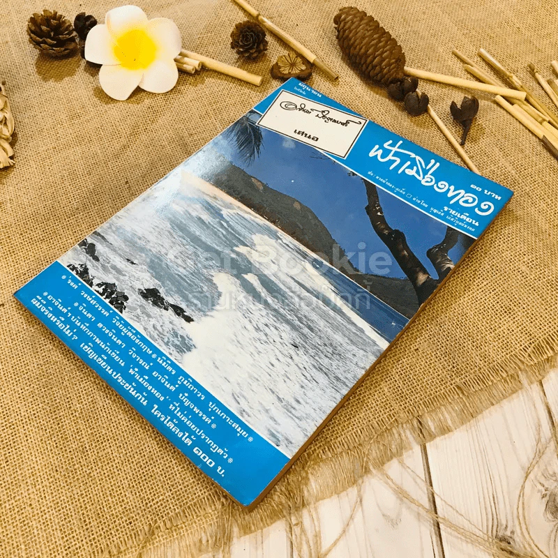 ฟ้าเมืองทอง ฉบับที่ 39 มิ.ย.2522 รูปที่ 4