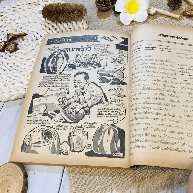 ฟ้าเมืองทอง ฉบับที่ 39 มิ.ย.2522 รูปที่ 38