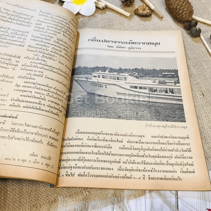 ฟ้าเมืองทอง ฉบับที่ 39 มิ.ย.2522 รูปที่ 19