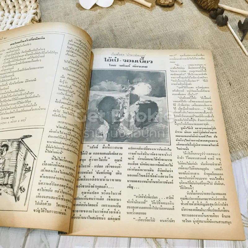 ฟ้าเมืองทอง ฉบับที่ 72 มี.ค.2525 รูปที่ 12