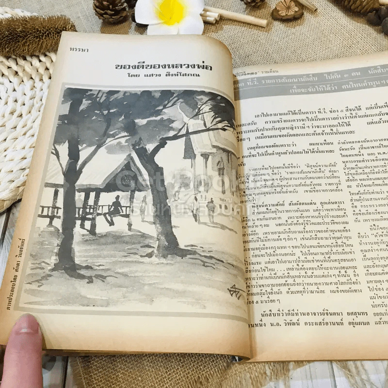 ฟ้าเมืองทอง ฉบับที่ 51 มิ.ย.2523 รูปที่ 17