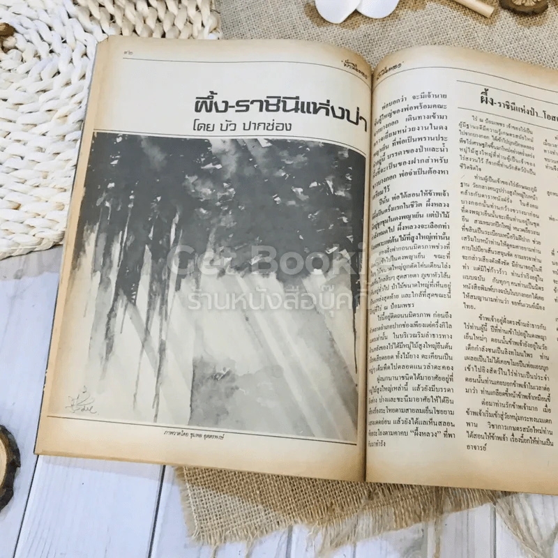ฟ้าเมืองทอง ฉบับที่ 82 ม.ค.2526 รูปที่ 28
