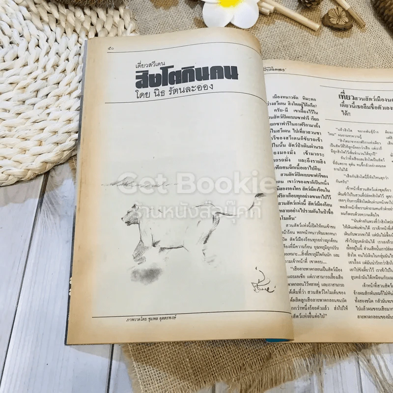 ฟ้าเมืองทอง ฉบับที่ 82 ม.ค.2526 รูปที่ 19