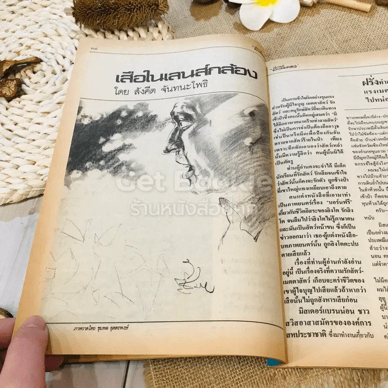 ฟ้าเมืองทอง ฉบับที่ 82 ม.ค.2526 รูปที่ 16
