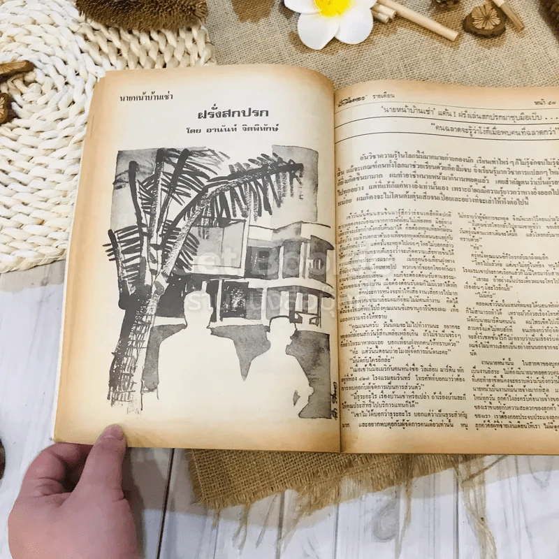 ฟ้าเมืองทอง ฉบับที่ 12 มี.ค.2520 รูปที่ 18