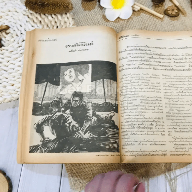 ฟ้าเมืองทอง ฉบับที่ 10 ม.ค.2520 รูปที่ 28