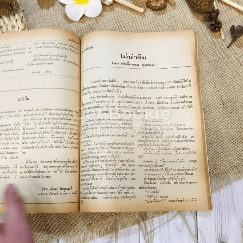 ฟ้าเมืองทอง ฉบับที่ 10 ม.ค.2520 รูปที่ 31